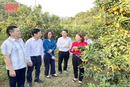 Huyện Thạch Thành phấn đấu hoàn thành  ở mức cao nhất kế hoạch năm 2024