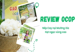 [REVIEW OCOP] Nếp Cay nọi Mường Xia - Hạt ngọc vùng cao