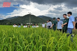 Chương trình Mục tiêu quốc gia phát triển kinh tế - xã hội vùng đồng bào dân tộc thiểu số và miền núi: Phát huy tiềm năng thế mạnh, xây dựng các sản phẩm đặc trưng khu vực miền núi