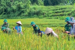  Sáng mãi phẩm chất Bộ đội Cụ Hồ