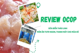 [REVIEW OCOP] Sứa biển Thảo Linh - Món ăn tươi ngon, thanh mát
