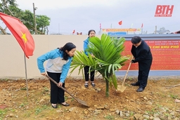 Hội LHPN huyện Thạch Thành tổ chức trồng 5.000 cây xanh