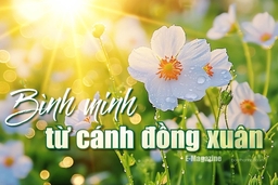 [E-Magazine] – Bình minh từ cánh đồng xuân