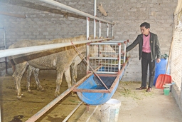 Điểm sáng trong các phong trào thi đua