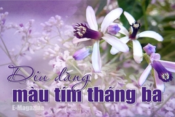 [E-Magazine] – Dịu dàng màu tím tháng ba