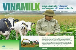 Vinamilk cùng nông dân “hồi sinh” những vùng đất nghèo cằn cỗi