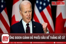 Bầu cử Mỹ: Ông Biden thắng đề cử, ông Donald Trump bám sát