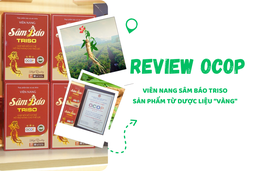 [REVIEW OCOP] Viên nang Sâm Báo Triso - Sản phẩm từ dược liệu“vàng”