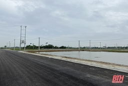 Khẩn trương thực hiện quy trình, thủ tục để đấu giá quyền sử dụng đất các dự án