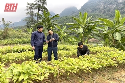 Kỹ sư đam mê nghiên cứu khoa học