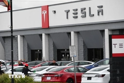 Lượng xe bàn giao của Tesla giảm lần đầu tiên sau gần 4 năm