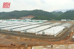 UBND huyện Lang Chánh ra văn bản chấn chỉnh tình trạng phát tán mùi hôi từ trại lợn ở xã Tân Phúc