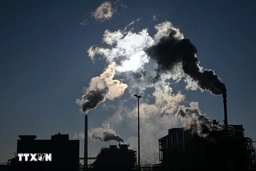 Liên hợp quốc thông qua quy trình khiếu nại các dự án tín chỉ carbon