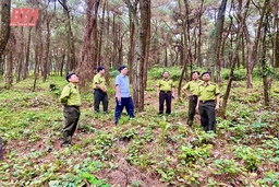 Thị xã Nghi Sơn chủ động ngăn chặn nguy cơ cháy rừng