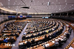 Các đảng cực hữu chiếm ưu thế trước thềm bầu cử Nghị viện châu Âu
