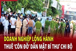 Điểm nóng 24/5: Doanh nghiệp lộng hành thuê ‘côn đồ’ dằn mặt bí thư chi bộ