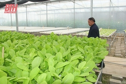 Cựu chủ tịch huyện rời nhiệm sở về làm... nông dân