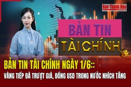 Bản tin Tài chính ngày 1/6: Vàng tiếp đà trượt giá, đồng USD trong nước nhích tăng