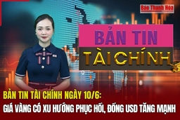 Bản tin Tài chính 10/6: Giá vàng có xu hướng phục hồi, đồng USD tăng mạnh