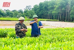 Diện mạo nông thôn mới nâng cao tại xã Minh Sơn