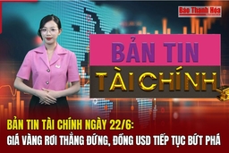 Bản tin Tài chính ngày 22/6: Giá vàng rơi thẳng đứng, đồng USD tiếp tục bứt phá