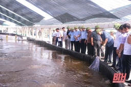 Kiểm tra tình hình triển khai một số nhiệm vụ khoa học và công nghệ cấp tỉnh tại thị xã Nghi Sơn và TP Thanh Hóa