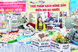 Ứng dụng khoa học và công nghệ: Khoảng cách từ lý thuyết đến thực tiễn (Bài 2): Còn nhiều bất cập