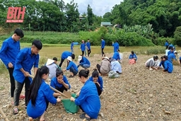 Tuổi trẻ Lang Chánh học và làm theo Bác bằng nhiều việc làm thiết thực