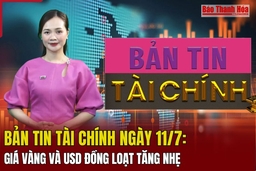 Bản tin Tài chính (11/7): Giá vàng và USD đồng loạt tăng nhẹ