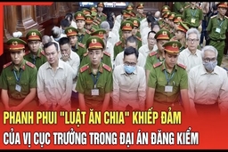 Điểm nóng 18/7: Phanh phui “Luật ăn chia” của vị cục trưởng trong đại án Đăng kiểm