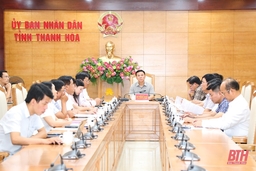 Tỉnh Thanh Hoá tiếp tục đồng hành thi công dự án đường dây 500 kV mạch 3 từ Quảng Trạch (Quảng Bình) đến Phố Nối (Hưng Yên)
