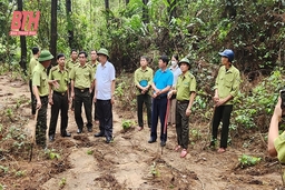 Hà Trung tăng cường biện pháp bảo vệ rừng