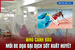 [Bản tin 18h]  WHO cảnh báo mối đe dọa đại dịch sốt xuất huyết