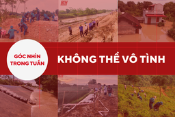 [Góc nhìn]: Không thể vô tình