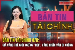 Bản tin Tài chính (8/8): Giá vàng thế giới ngừng “rơi”, vàng nhẫn vẫn đi xuống