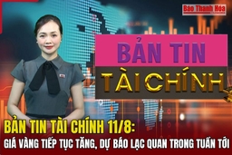 Bản tin Tài chính 11/8: Giá vàng tiếp tục tăng, dự báo lạc quan trong tuần tới