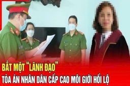 Điểm nóng 18/8: Bắt một phó phòng thuộc TAND cấp cao môi giới hối lộ