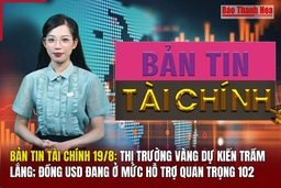 Bản tin Tài chính 19/8: Thị trường vàng dự kiến trầm lắng