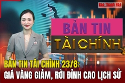 Bản tin Tài chính ngày 23/8: Giá vàng giảm, rời đỉnh cao lịch sử