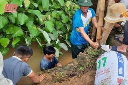 [Cập nhật] - Mưa lũ tại Thanh Hóa: Sẵn sàng phương án di dân khi nước sông Bưởi lên báo động 2