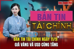 Bản tin Tài chính 11/9: Giá vàng và USD cùng tăng