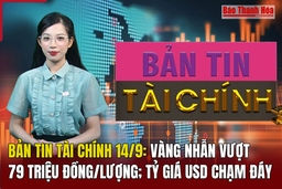 Bản tin Tài chính 14/9: Vàng nhẫn vượt 79 triệu đồng/lượng; Tỷ giá USD chạm đáy