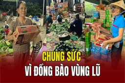 Chung sức vì đồng bào vùng lũ