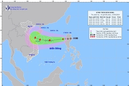 Công điện của Thủ tướng Chính phủ về việc chủ động ứng phó áp thấp nhiệt đới có khả năng mạnh lên thành bão