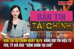 Bản tin Tài chính 16/9: Vàng đợi tín hiệu từ Fed, tỷ giá USD “dậm chân tại chỗ”