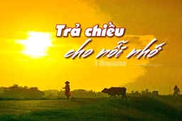 [E-Magazine] – Trả chiều cho nỗi nhớ