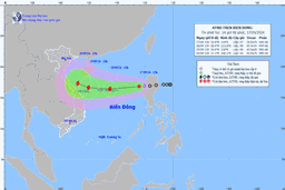 Công điện chủ động ứng phó áp thấp nhiệt đới có khả năng mạnh lên thành bão