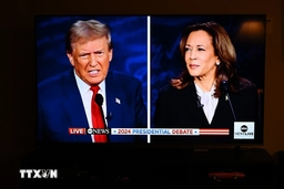 Bầu cử Mỹ 2024: Bà Kamala Harris đang có lợi thế trước ông Donald Trump