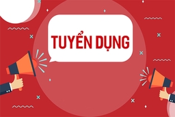 Tuyển dụng viên chức tại Phòng Công chứng số II thuộc Sở Tư pháp Thanh Hóa năm 2024