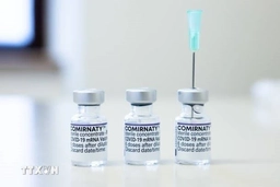 Xác định nguyên nhân gây tác dụng phụ của vaccine mRNA